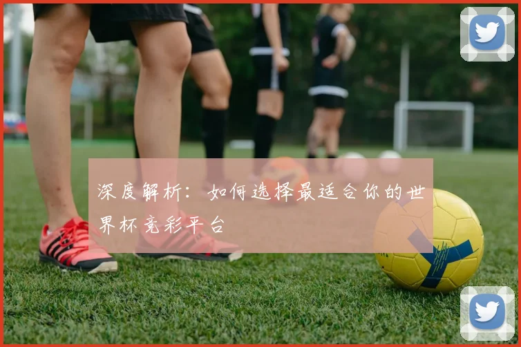 深度解析：如何选择最适合你的世界杯竞彩平台