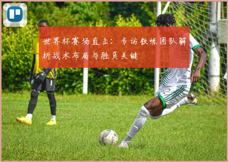 世界杯赛场直击:专访教练团队解析战术布局与胜负关键