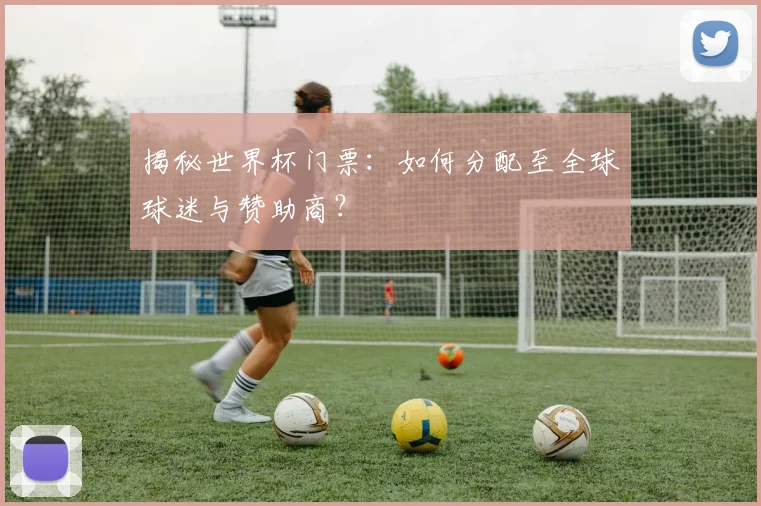 揭秘世界杯门票:如何分配至全球球迷与赞助商?