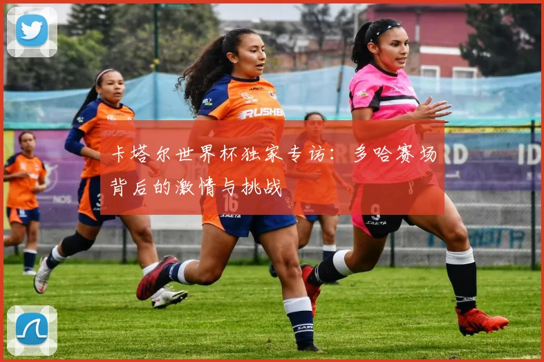 卡塔尔世界杯独家专访:多哈赛场背后的激情与挑战