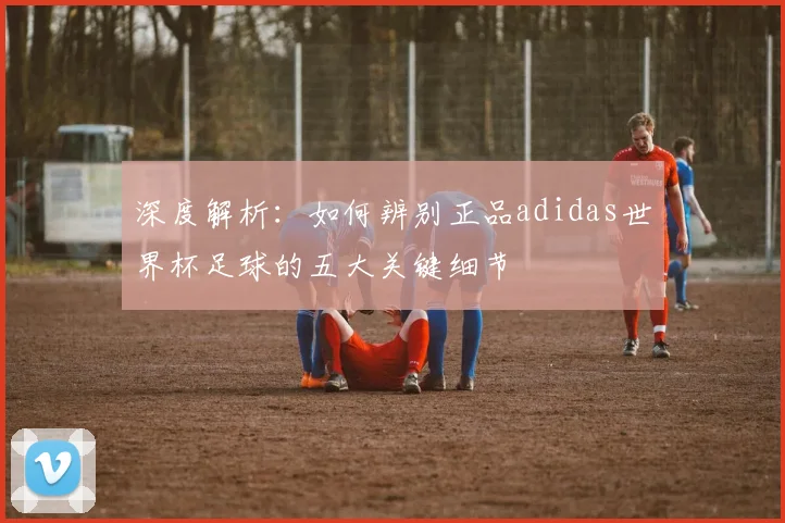 深度解析：如何辨别正品adidas世界杯足球的五大关键细节