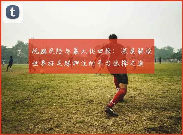 规避风险与最大化回报：深度解读世界杯足球押注的平台选择之道