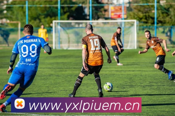 米兰官网最新地址服务体系